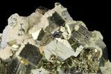 Cubic Pyrite, Sphalerite, Quartz and Calcite Association - Peru #141838-1